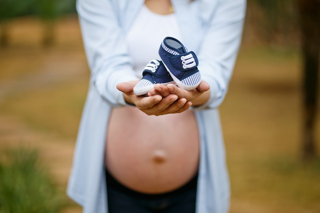 Ingreso Garantizado por Maternidad